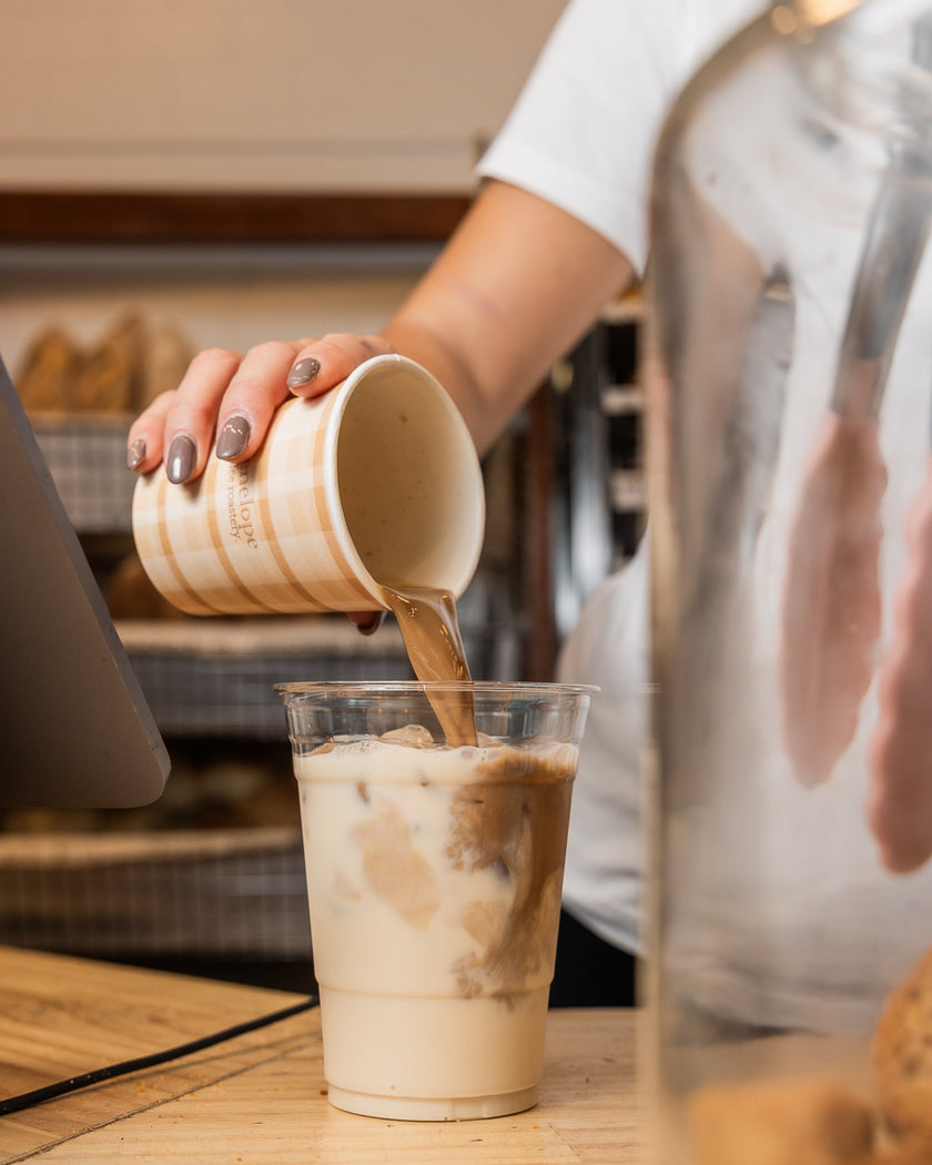 Canned Iced Lattes